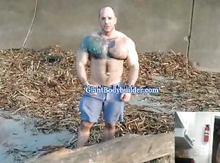 enormi, gay, spiaggia, wrestling, muscolosi, dominazione, giganti, orsacchiotti, peni