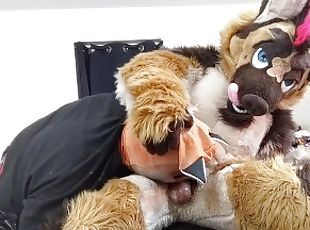 Fursuit bdsm