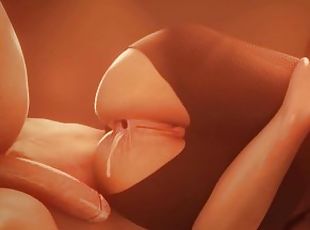 Anal, Kompilasi, Creampie (ejakulasi di dalam vagina atau anus dan keluarnya tetesan sperma), Jenis pornografi animasi, 3d