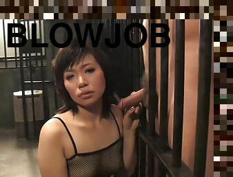 blowjob-seks-dengan-mengisap-penis, jepang, berhubungan-dengan-wajah, pakaian-dalam-wanita, penjara-prison, berambut-cokelat