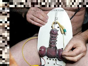 Electro tied to board needles in the testicles