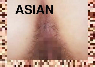 asiático, chupanços, japonesa