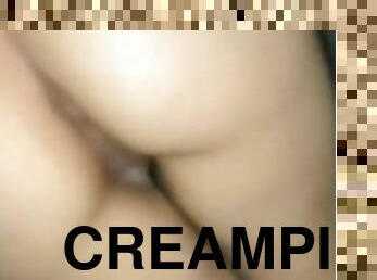 Cream Pie