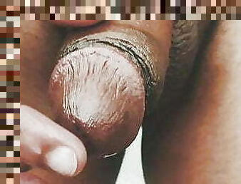 Wild dick close up