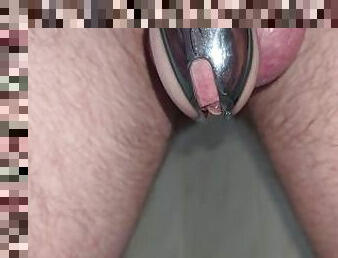 Pissing in  a chastity cage / caged