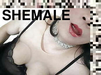 storatuttar, masturbation, shemale, anal, mogen, ladyboy, underkläder, ensam, kinesisk