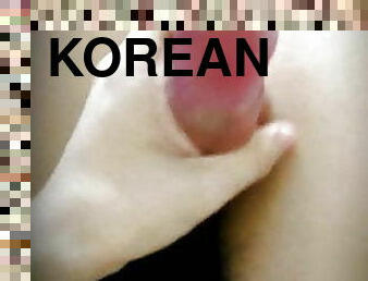 Korean sissy&#039;s cock