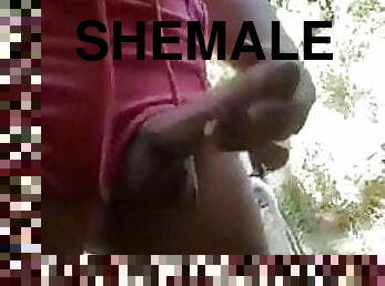 Naughty Shemale dick