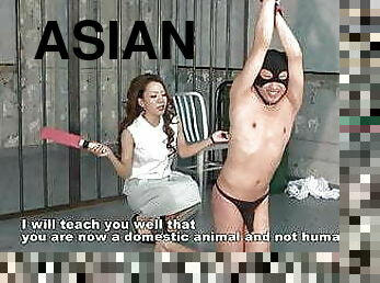 ázijské, japonské, bdsm, otrok, majsterka, dominovanie, ženská-dominancia, plieskanie