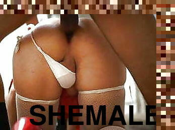 shemale, anal, arabisk, turkisk, par, familj