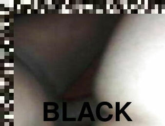 Dania tranny black bareback