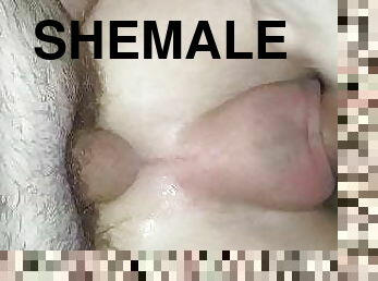 payudara-besar, waria-shemale, anal, dewasa, penis-besar, creampie-ejakulasi-di-dalam-vagina-atau-anus-dan-keluarnya-tetesan-sperma, muda-diatas-18, italia, dominasi, payudara-kecil