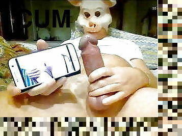 Videochat with Bomber the jerking Pig