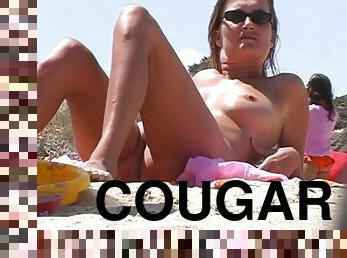 Cougar On Nudist Beach