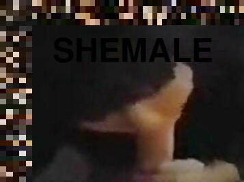 Beautiful shemale 