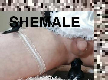 Femboy Sissy riding bbc dildo and cumming hard