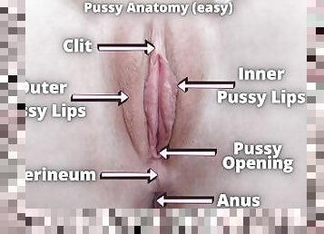 clitoride, orgasmi, fichette, amatoriali, ragazze-giovani, masturazione-con-dita, reali, succhiaggi