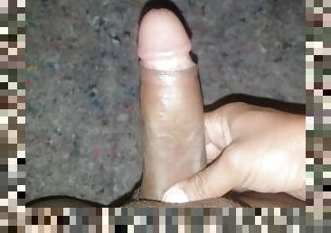 anal, blowjob-seks-dengan-mengisap-penis