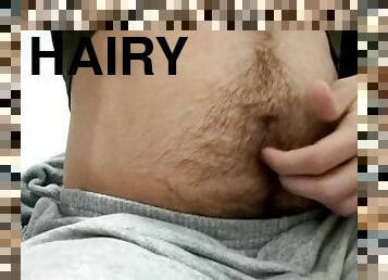 gainer hairy belly.