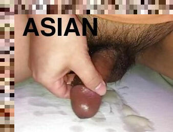 asiatique, poilue, amateur, ejaculation-sur-le-corps, gay, branlette, ejaculation-interne, solo