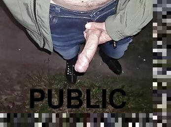 WALKING with my COCK OUT IN PUBLIC