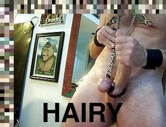 hairyartist Will shows off nipple clamps with leather wristbands