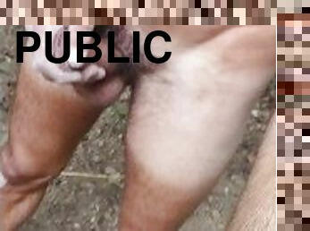 public, gay, solo, pula, salbatic