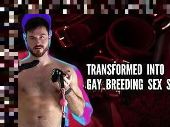 Transformed into gay breeding sex slave