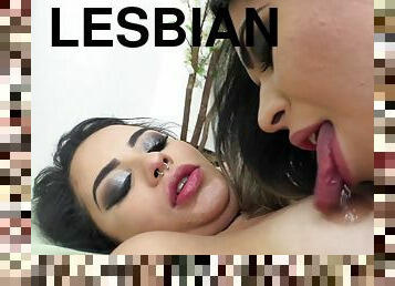 payudara-besar, amatir, anal, sayang, lesbian-lesbian, latina, gila