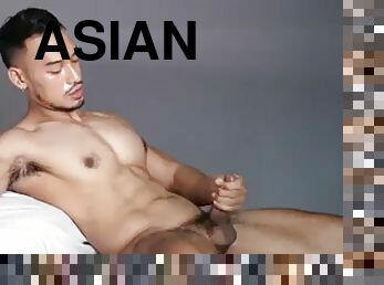 asian, homoseksual, thai