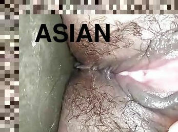 Chubby asian wife pussy