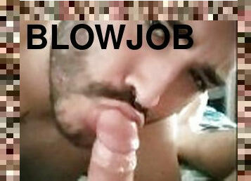 amatir, blowjob-seks-dengan-mengisap-penis, homo, argentina, penis