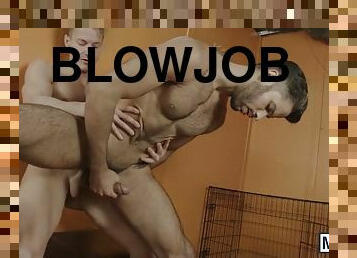 blowjob