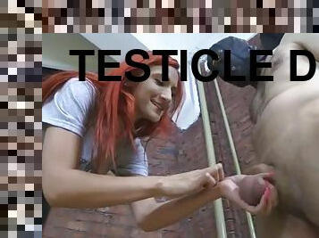 Testicle donation