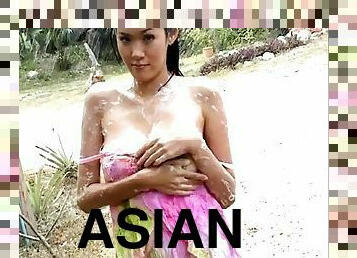 asiatiche, tettone, tailandesi, solitari