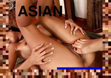 asiatisk, fisse-pussy, lesbisk, fødder, engel, fetish
