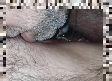 Loop of my beautiful husband Licking And kissing my nipples.