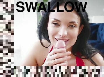 Swallows Compilation