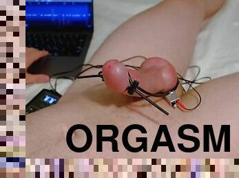 orgasm, amatör, cumshot, gigantisk-kuk, gay, sprut, europeisk, euro, ensam, kuk