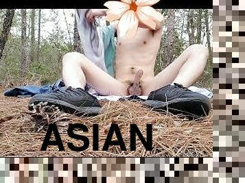 asiatiche, masturbarsi, pubblici, amatoriali, gay, masturbazione, solitari, foresta, twink, spogliarelli-undressing